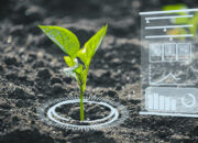Google X Meluncurkan Heritable Agriculture: Startup yang Menggunakan AI untuk Meningkatkan Hasil Pertanian